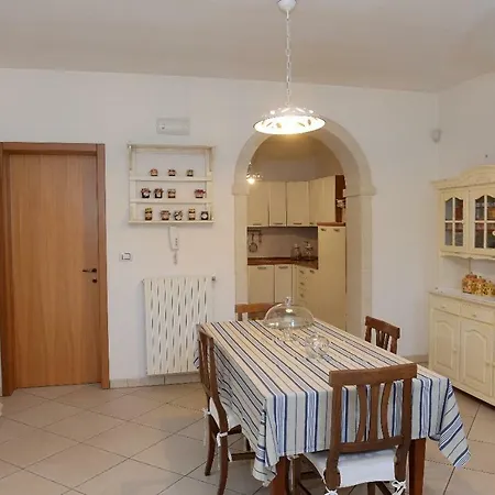 Tortora